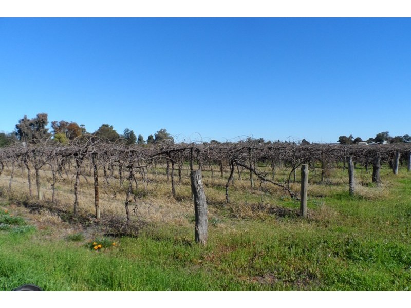 Allotment 497 Arumpo Street, Renmark SA 5341