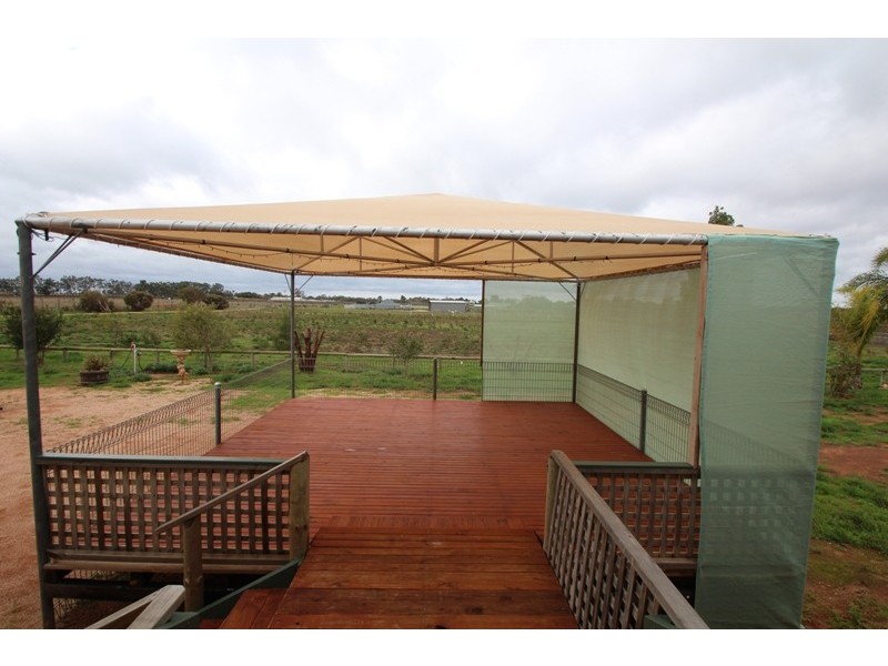 284 Caddy Road, Loveday SA 5345