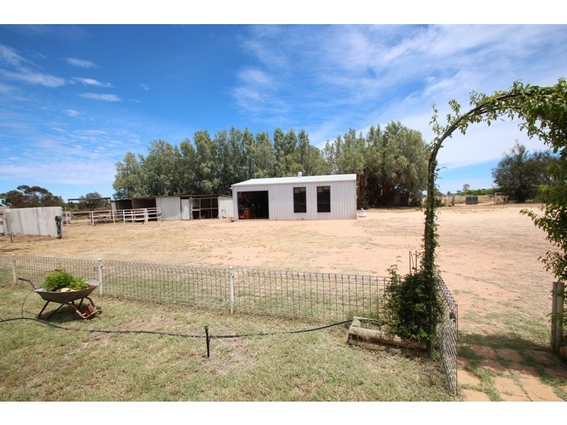 284 Caddy Road, Loveday SA 5345