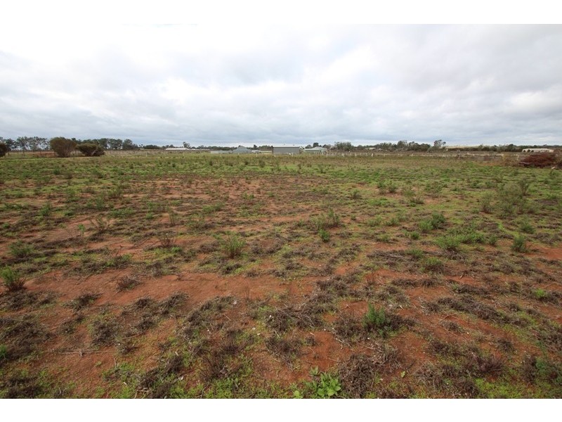 284 Caddy Road, Loveday SA 5345