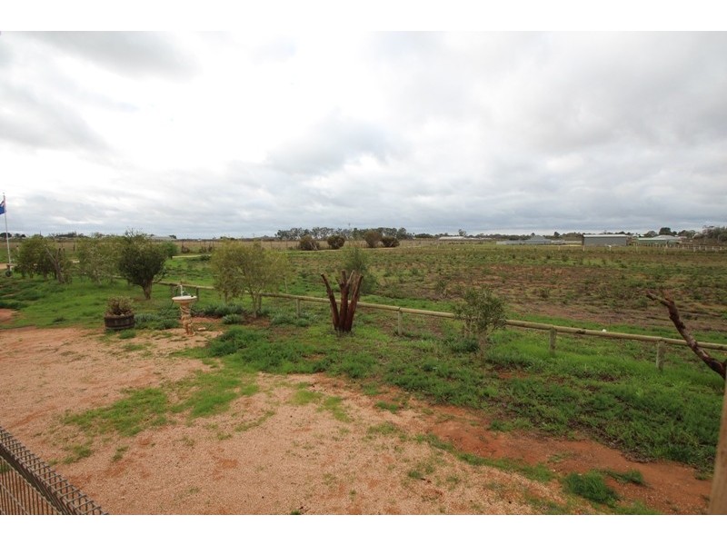 284 Caddy Road, Loveday SA 5345