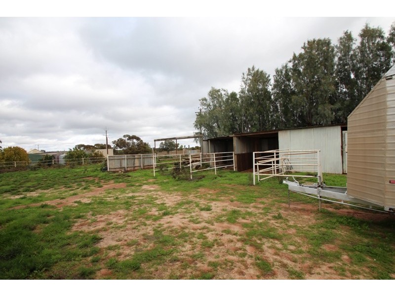 284 Caddy Road, Loveday SA 5345