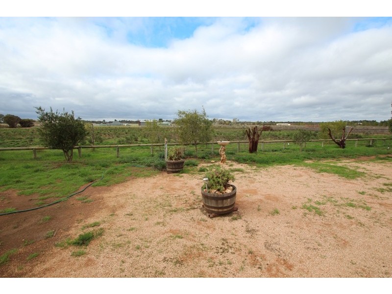 284 Caddy Road, Loveday SA 5345