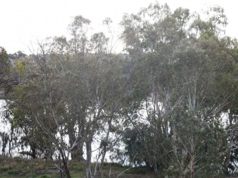 Lot 42 Kingston Road, Loxton SA 5333