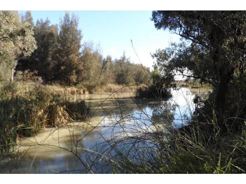 15A Meander Avenue, Renmark SA 5341