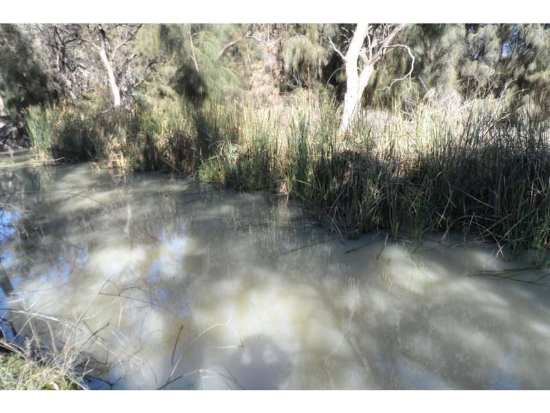 15A Meander Avenue, Renmark SA 5341