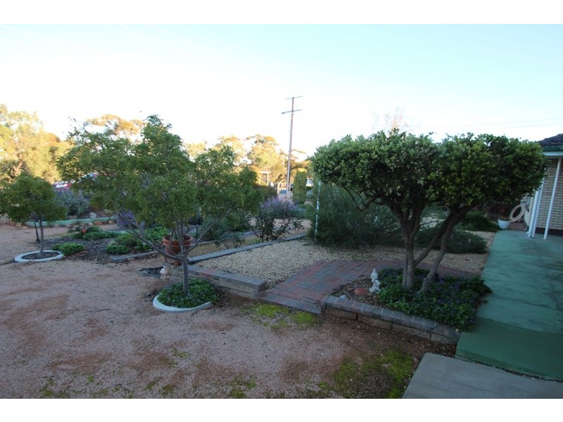 49 Worman Street, Berri SA 5343