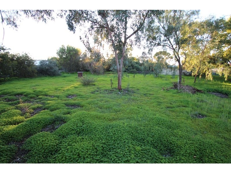 49 Worman Street, Berri SA 5343