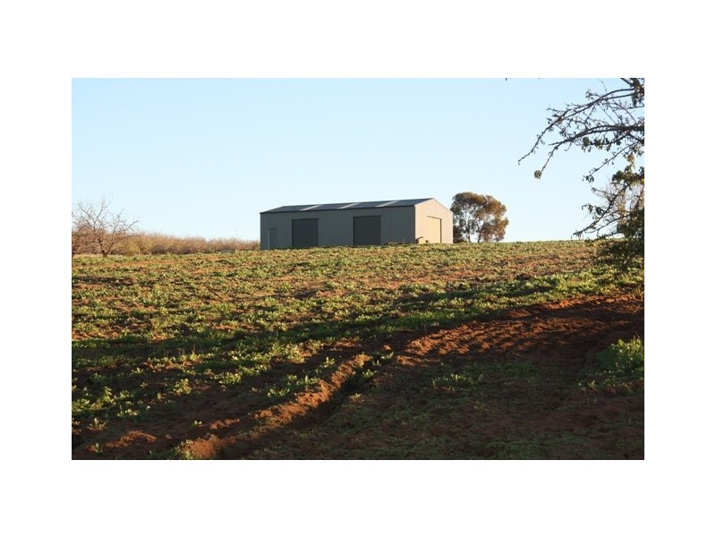 2101 KINGSTON RD, Loxton SA 5333