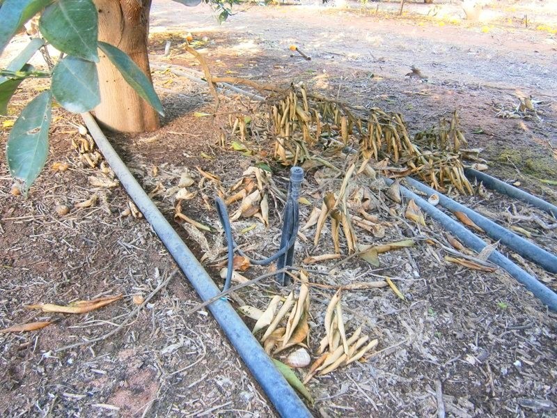 Lot 53 Rex Andrew Road, Golden Heights SA 5322