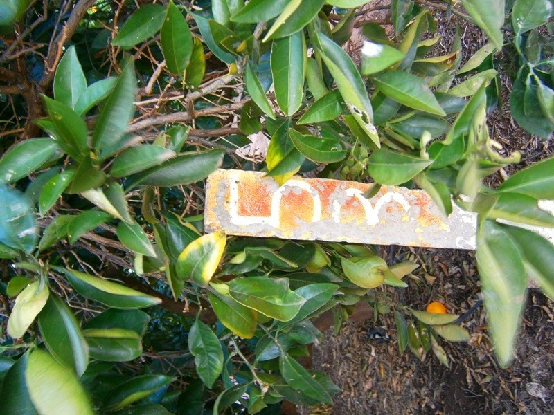 Lot 53 Rex Andrew Road, Golden Heights SA 5322