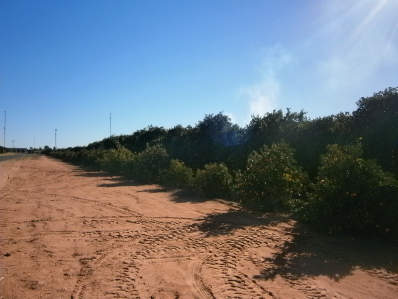 Lot 57 Dearman Road, Golden Heights SA 5322