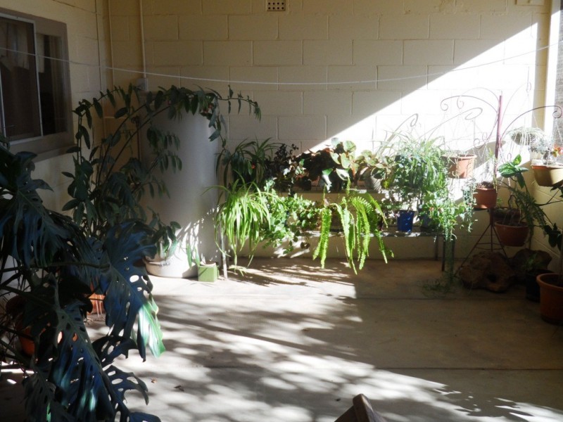 55 Luther Road, Loxton SA 5333