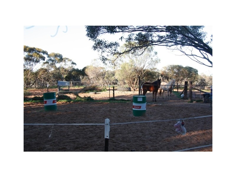 2966 TAPLAN ROAD, TAPLAN via, Loxton SA 5333