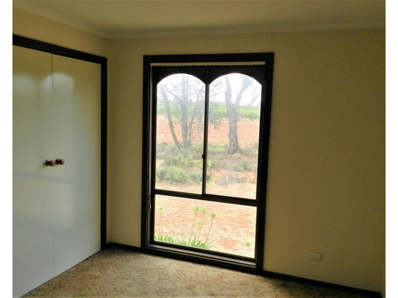 194 Bassham Road, Barmera SA 5345