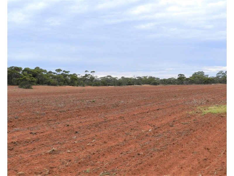 194 Bassham Road, Barmera SA 5345