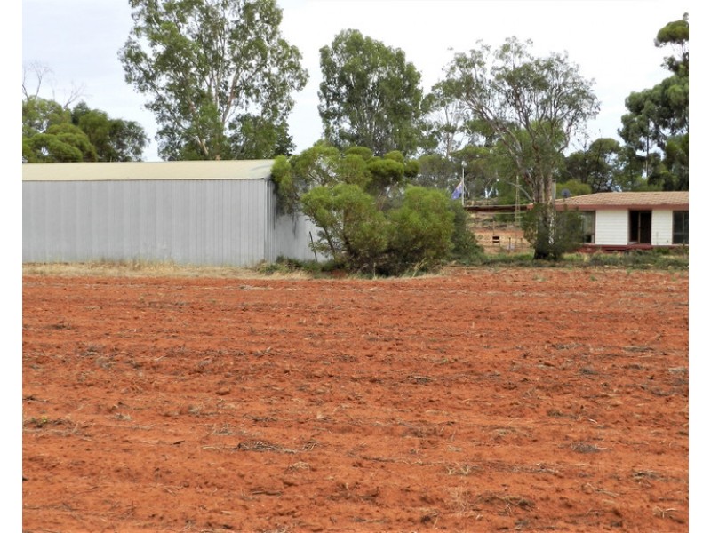 194 Bassham Road, Barmera SA 5345