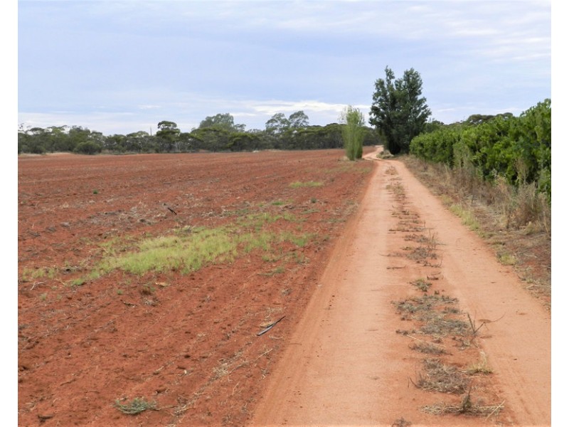 194 Bassham Road, Barmera SA 5345