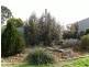 27 Tonkin Avenue, Barmera SA 5345