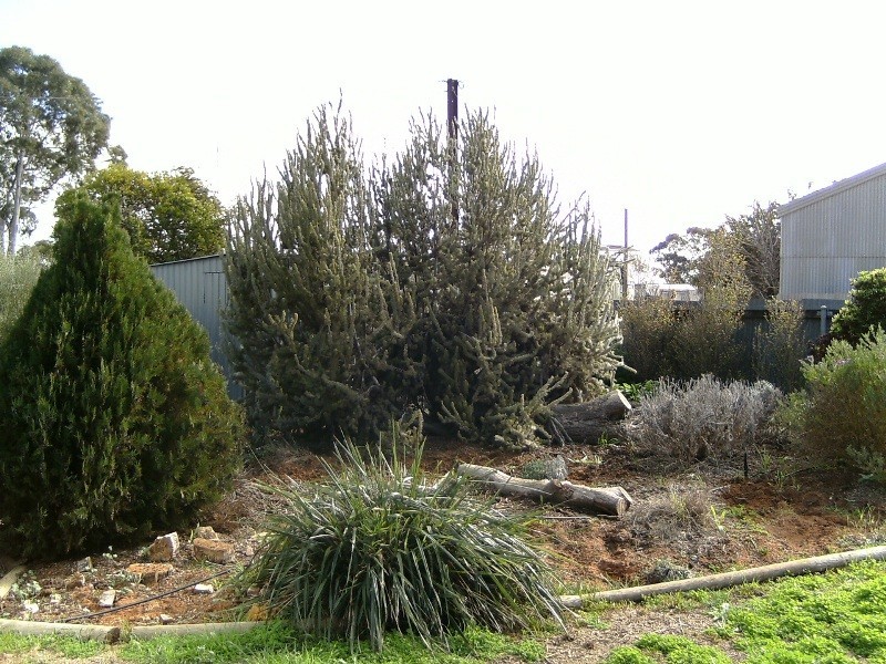 27 Tonkin Avenue, Barmera SA 5345