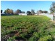 Lot 24 Timor Street, Loxton SA 5333