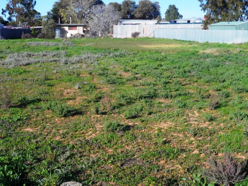 Lot 24 Timor Street, Loxton SA 5333