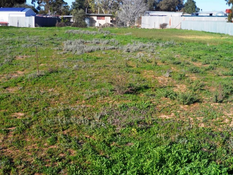 Lot 24 Timor Street, Loxton SA 5333