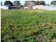 Lot 24 Timor Street, Loxton SA 5333