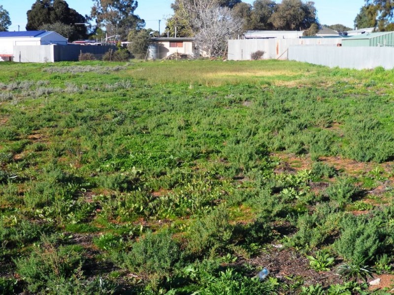 Lot 24 Timor Street, Loxton SA 5333