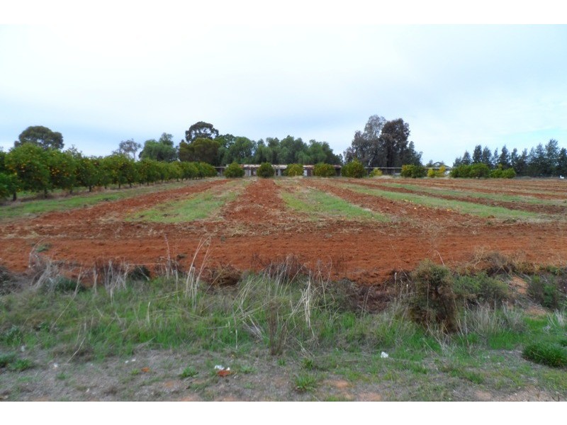 43 Arumpo Street, Renmark SA 5341