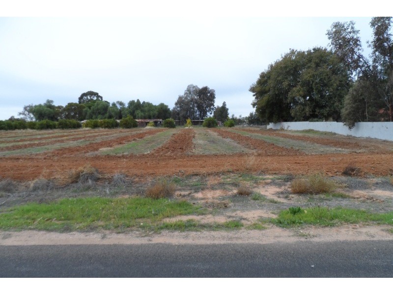 43 Arumpo Street, Renmark SA 5341