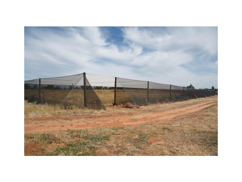 Allotment 2 Gratwick Road, Loxton SA 5333