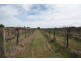 Allotment 2 Gratwick Road, Loxton SA 5333