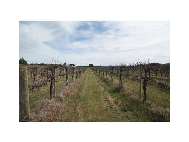 Allotment 2 Gratwick Road, Loxton SA 5333