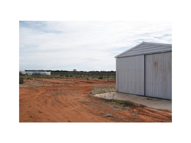 Allotment 2 Gratwick Road, Loxton SA 5333