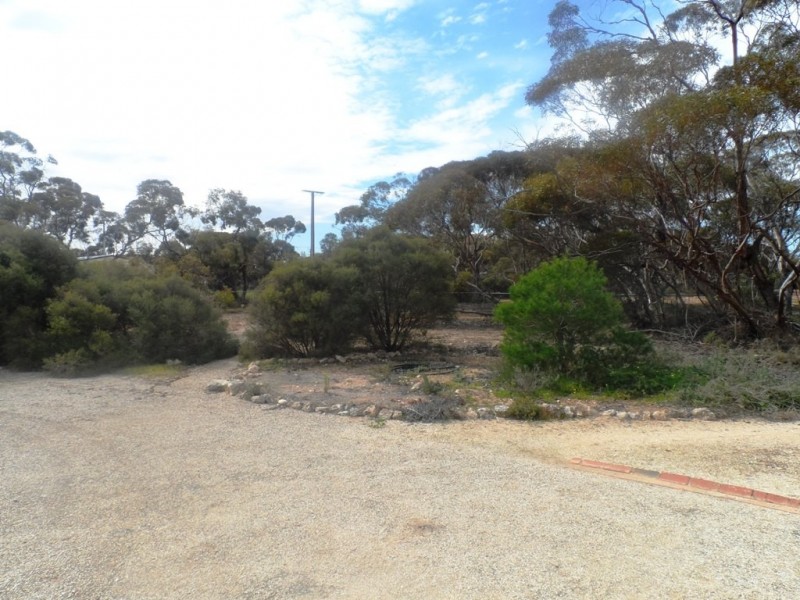 9 Charleson Road, Wanbi SA 5310