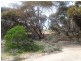 9 Charleson Road, Wanbi SA 5310