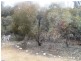 9 Charleson Road, Wanbi SA 5310