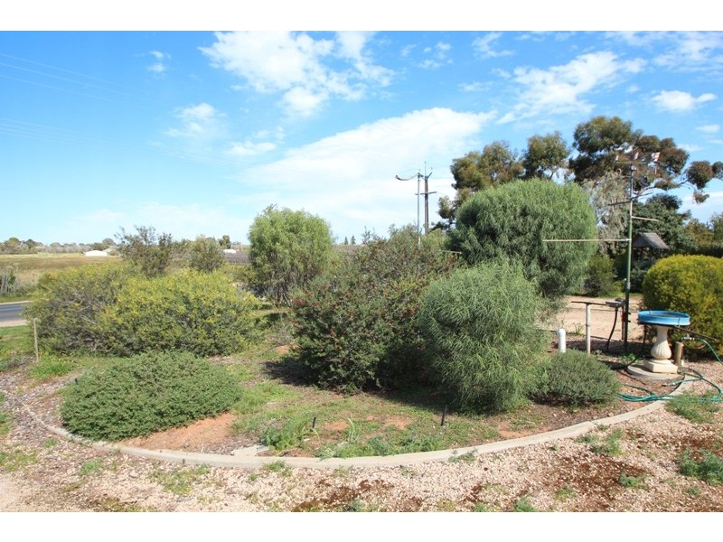 36 Woolston Road, Monash SA 5342