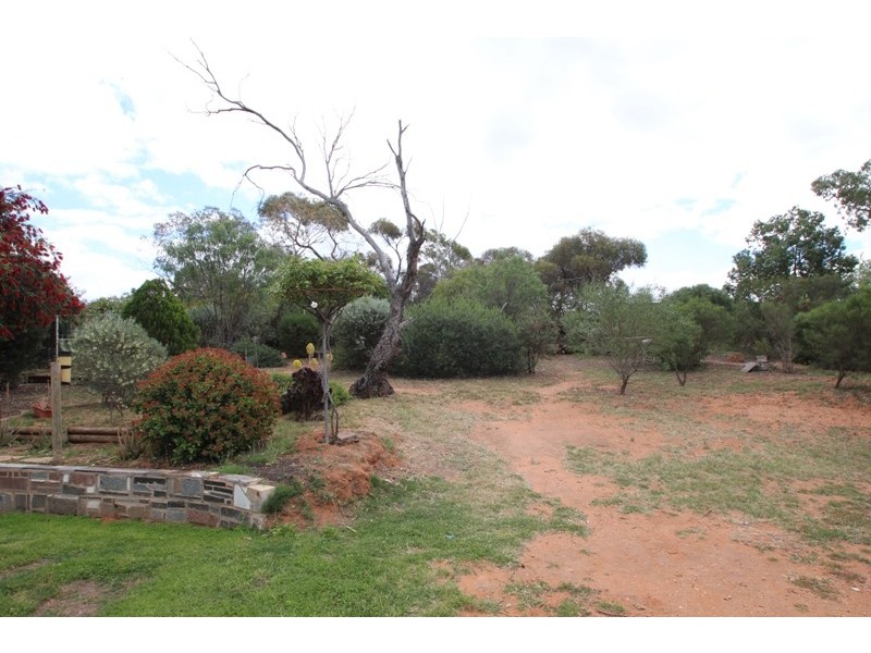 36 Woolston Road, Monash SA 5342