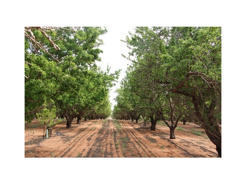 Lot 2 Kingston Road PYAP via, Loxton SA 5333