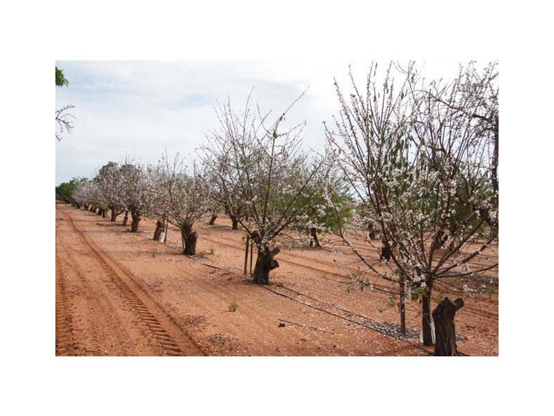 Lot 2 Kingston Road PYAP via, Loxton SA 5333