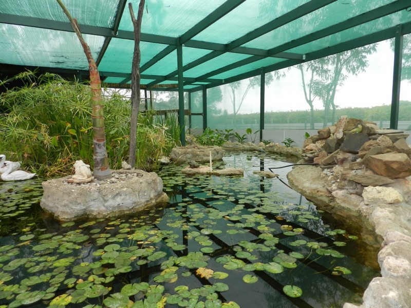 40 Wilkinson Road, Loveday SA 5345