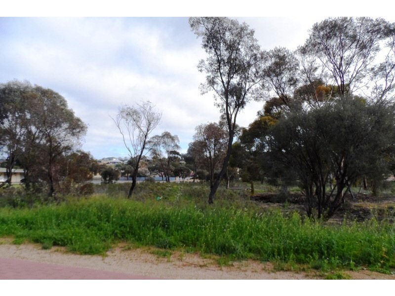 269 and 270 Pauline Street, Paringa SA 5340