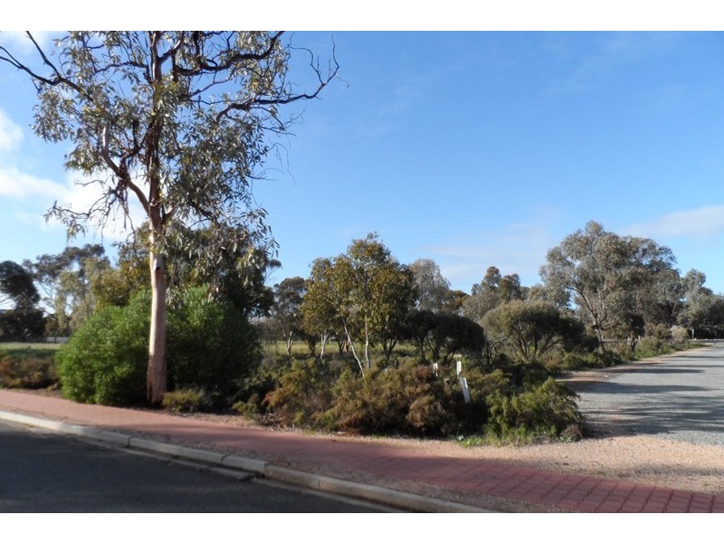 269 and 270 Pauline Street, Paringa SA 5340