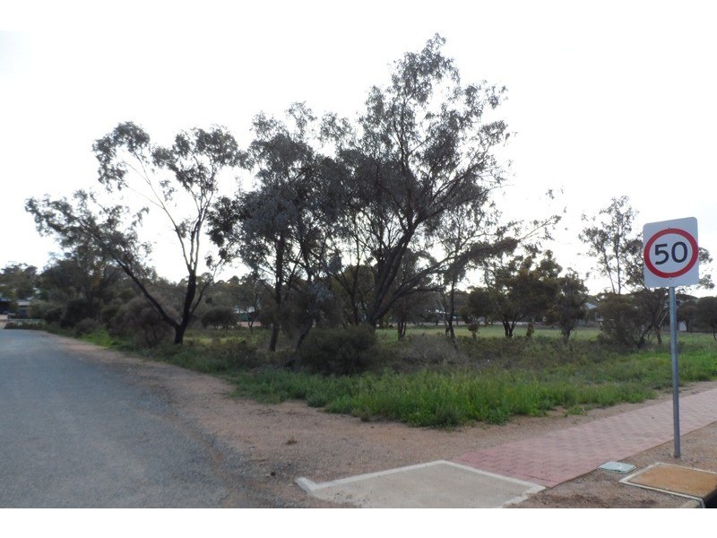 269 and 270 Pauline Street, Paringa SA 5340