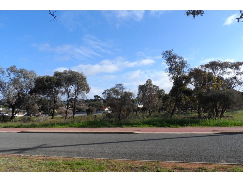 269 and 270 Pauline Street, Paringa SA 5340