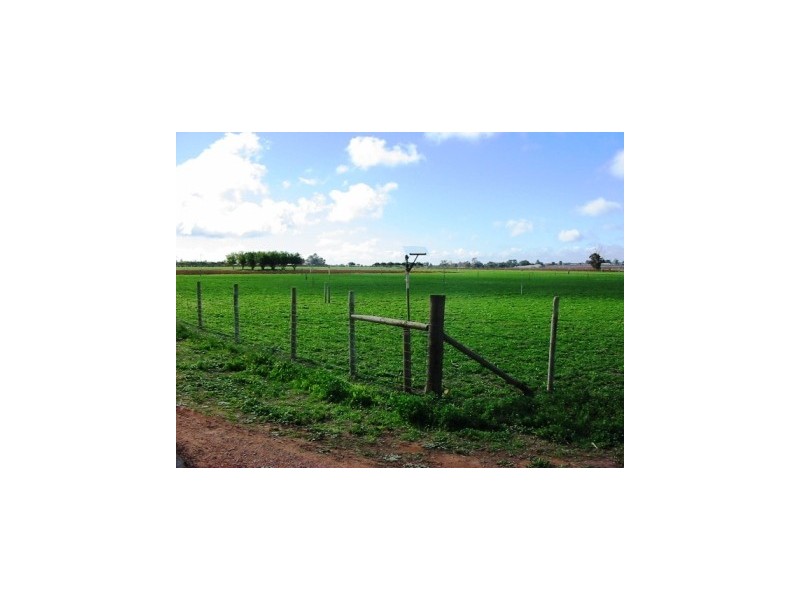 Lot 5 Government Rd, Renmark West SA 5341