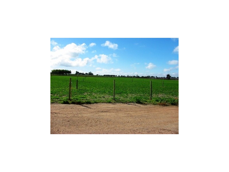 Lot 5 Government Rd, Renmark West SA 5341