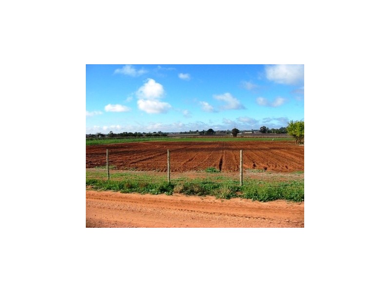 Lot 116 Government Road, Renmark West SA 5341